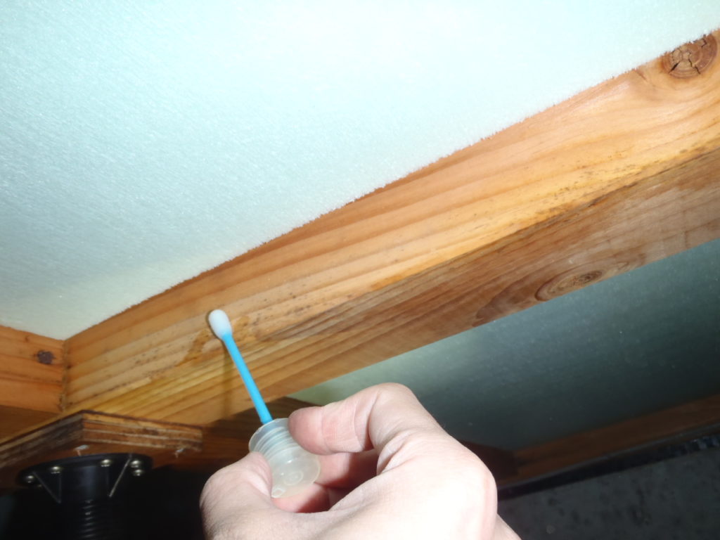 学校施設内のカビ対策 カビ分析対策センター